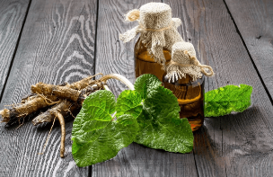 The decoction of burdock root